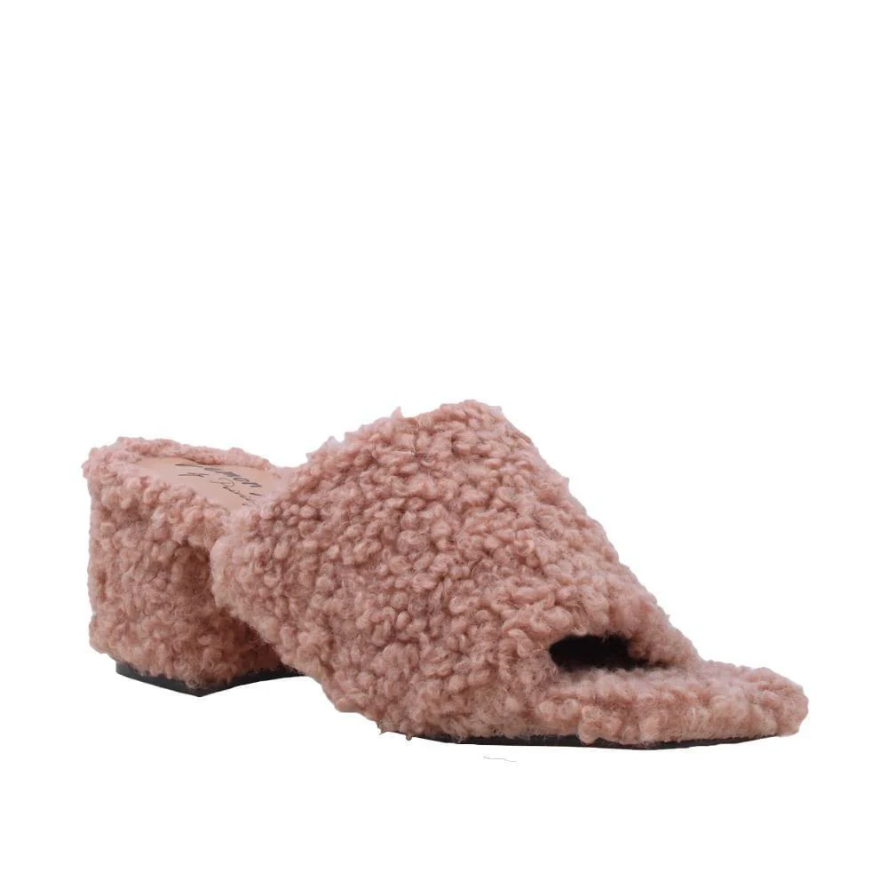 Fucci - Image 6